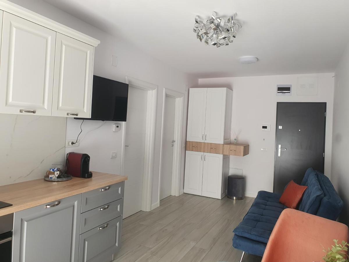Ale House Apartment Oradea Ngoại thất bức ảnh