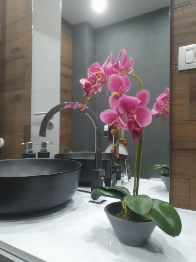 Ale House Apartment Oradea Ngoại thất bức ảnh